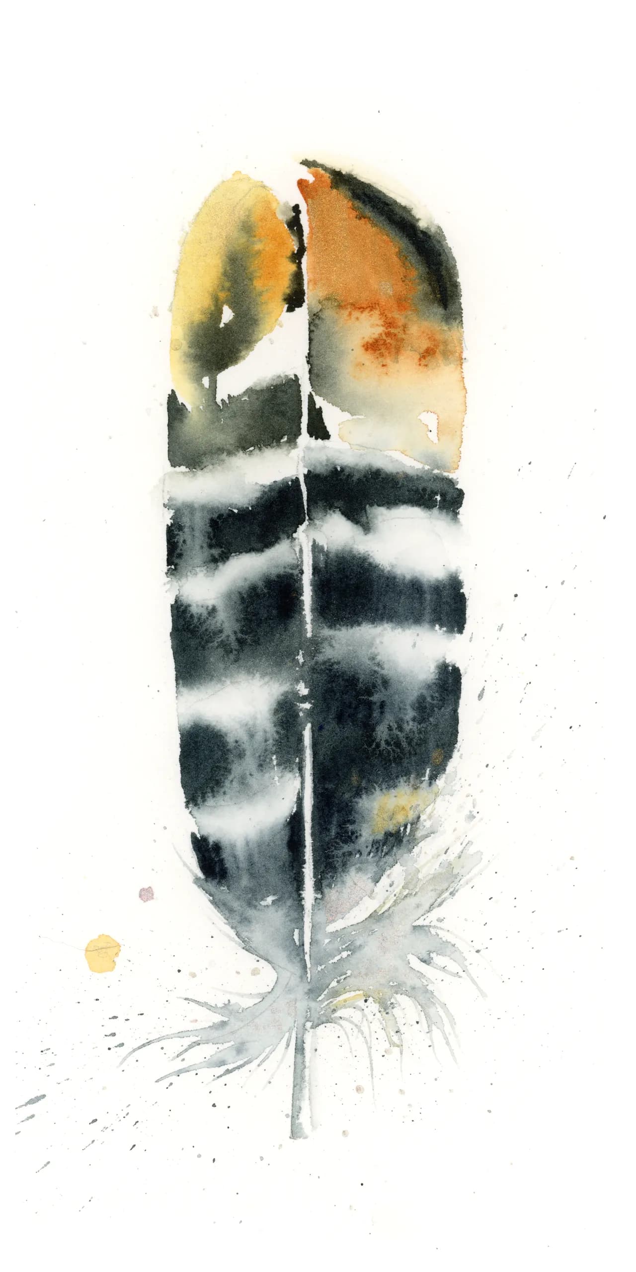 Pheasant — watercolor by Shayna Larsen