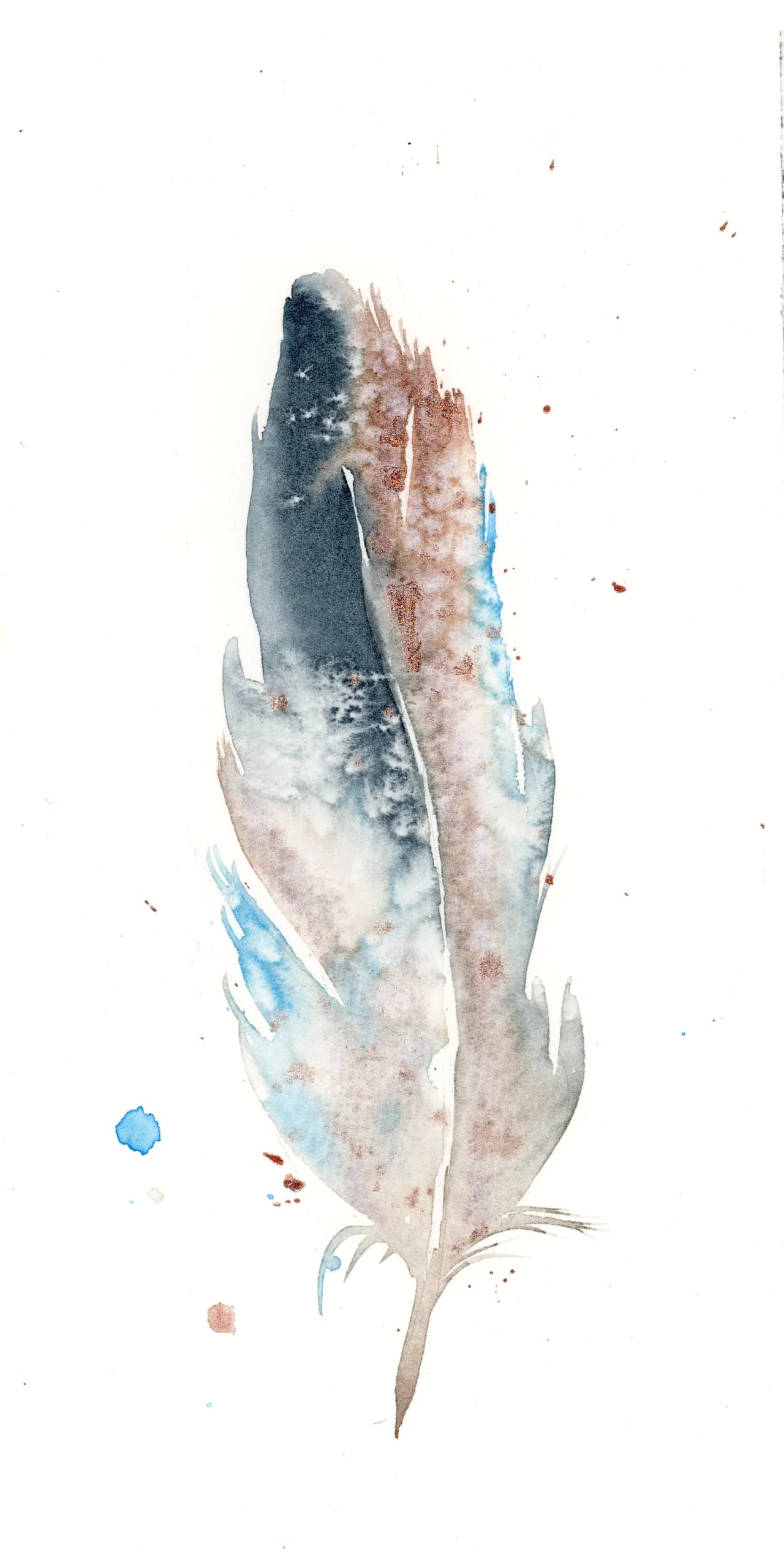 Italian Bird Common Chaffinch — watercolor by Shayna Larsen