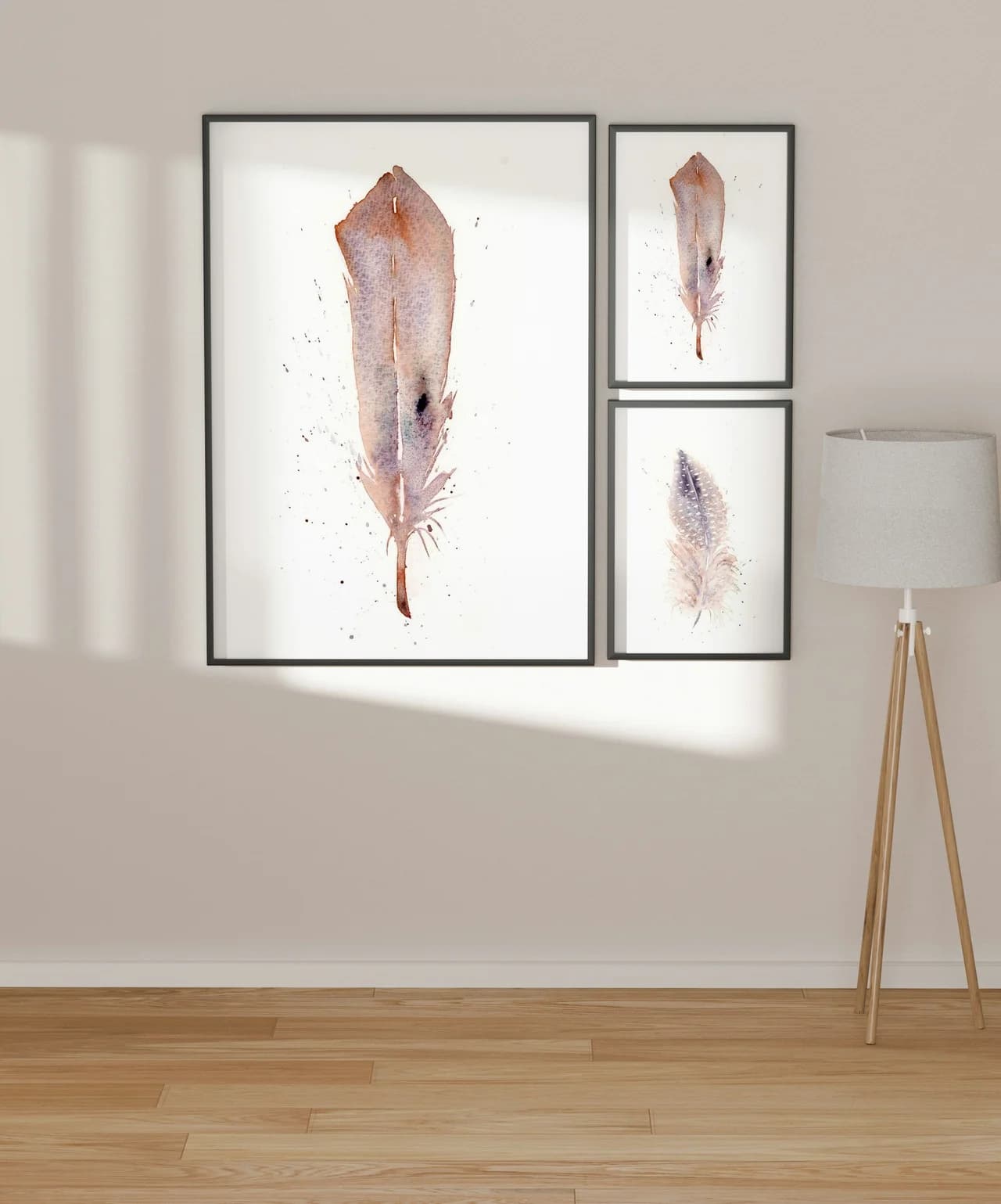 Eurasian Collared-Dove shown in a room setting