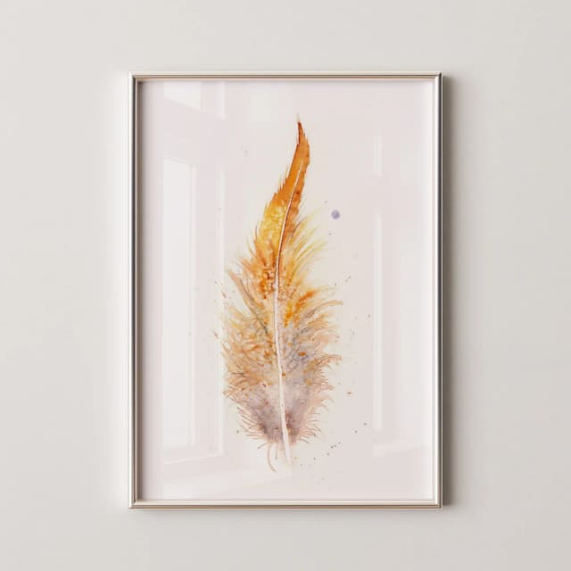 Golden Pheasant shown in a room setting