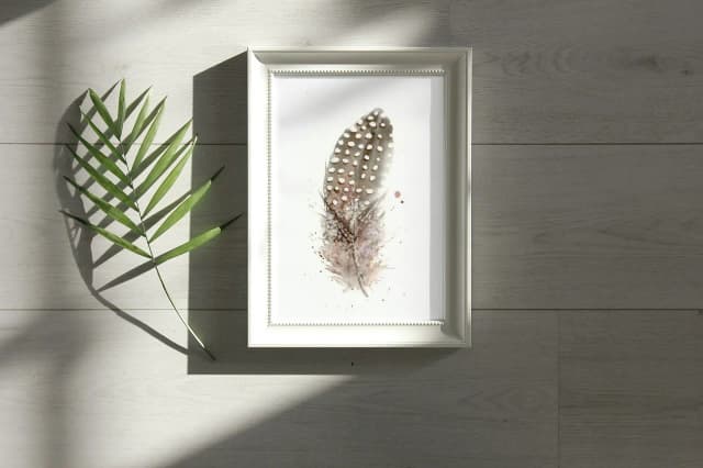 Guinea Fowl shown in a room setting