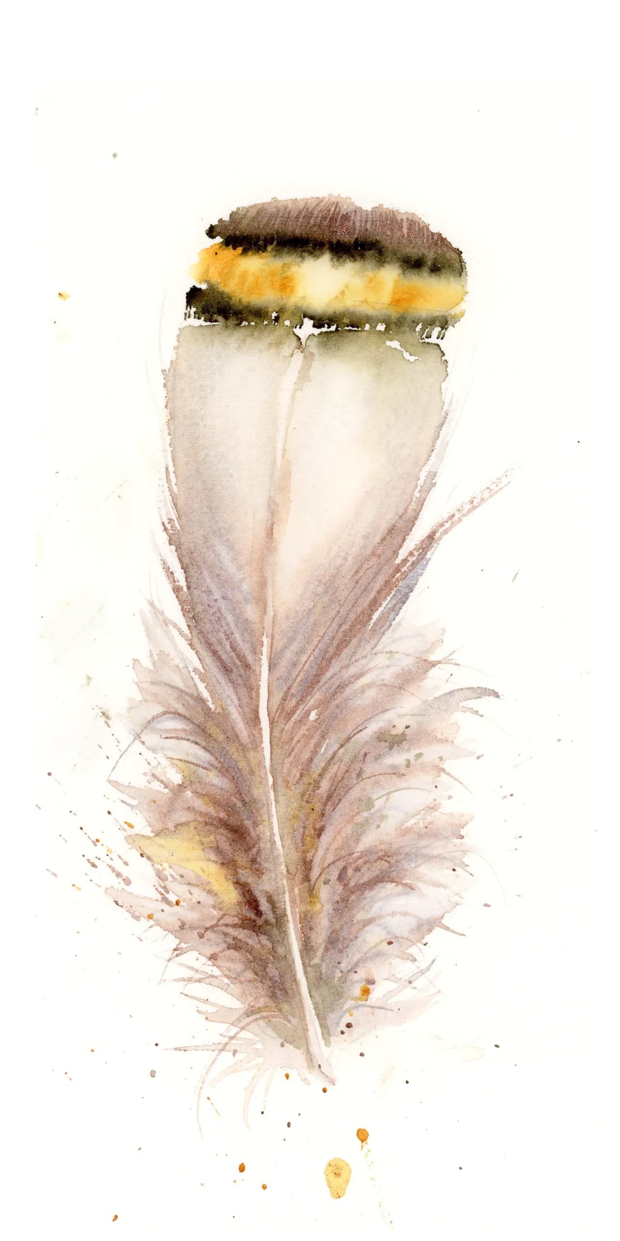 Great Horned Owl — watercolor by Shayna Larsen