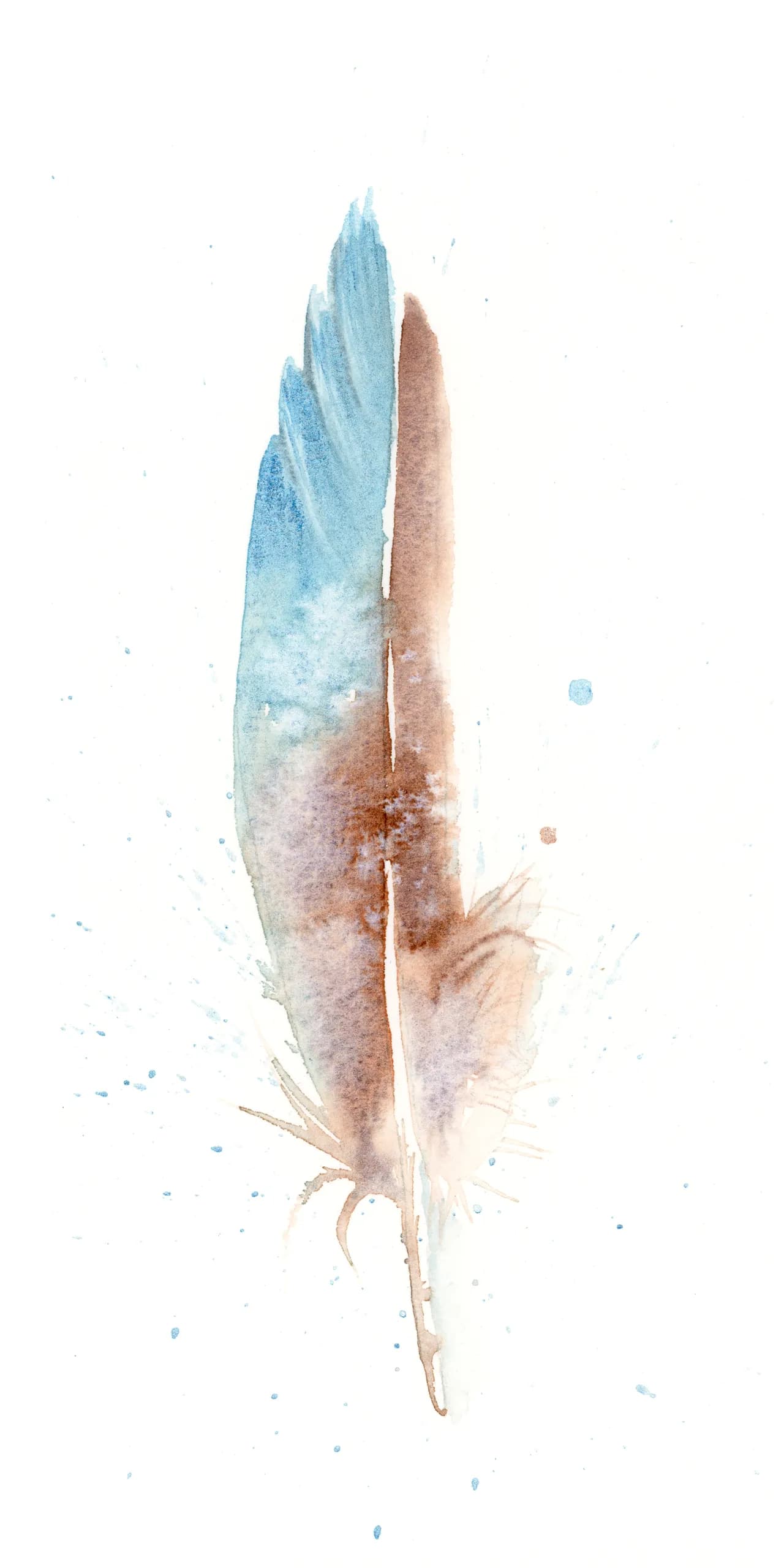 Blue-winged Teal / Duck — watercolor by Shayna Larsen
