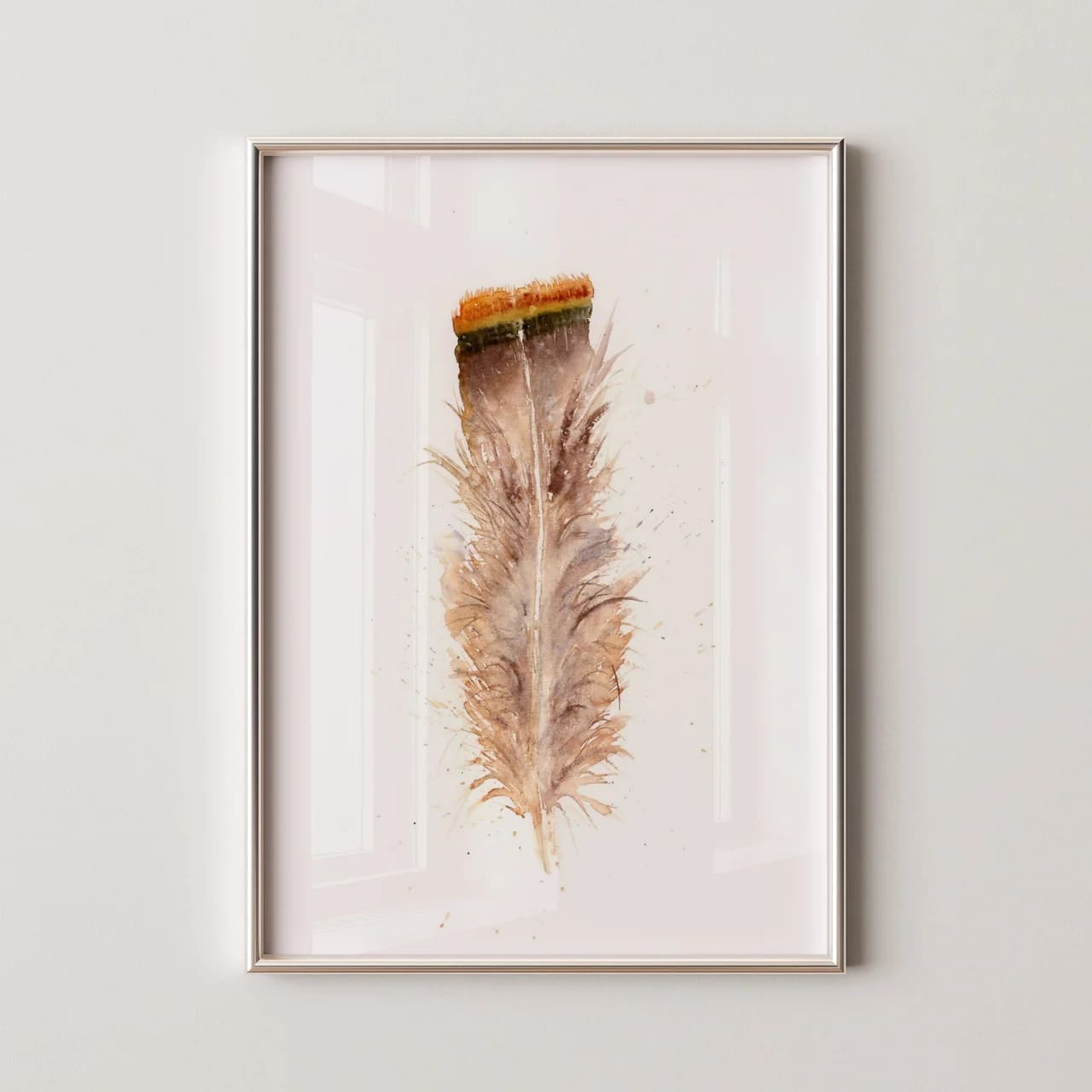 Buteo jamaicensis shown in a room setting