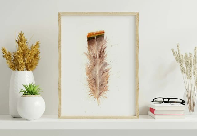 Buteo jamaicensis shown in a room setting