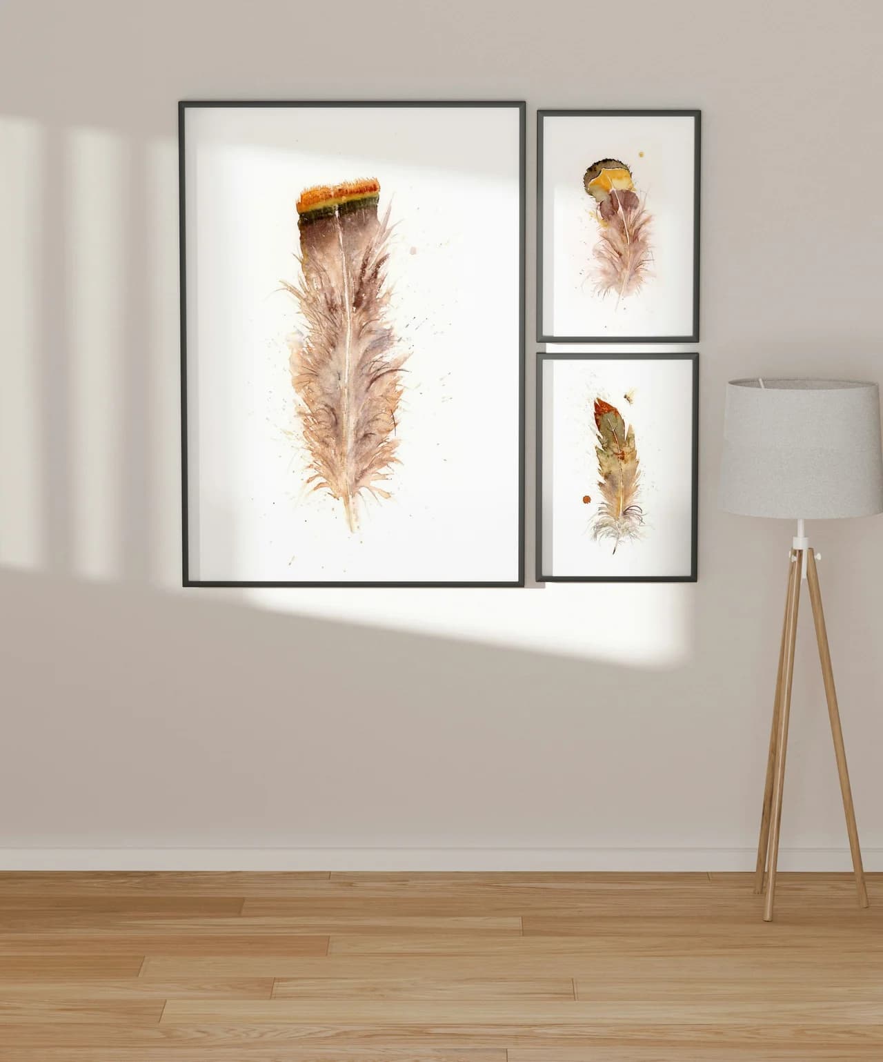 Buteo jamaicensis shown in a room setting