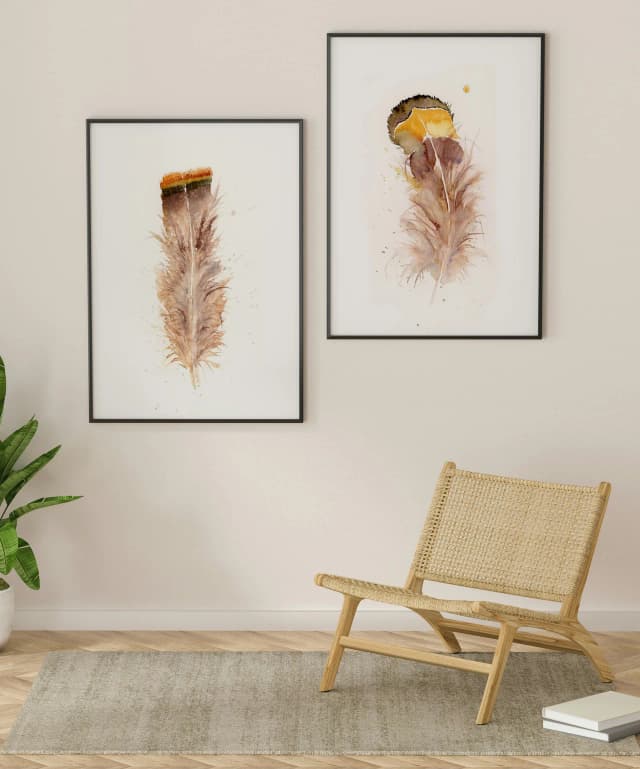 Buteo jamaicensis shown in a room setting