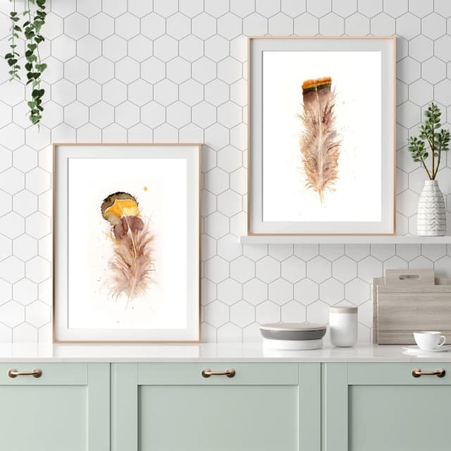 Buteo jamaicensis shown in a room setting