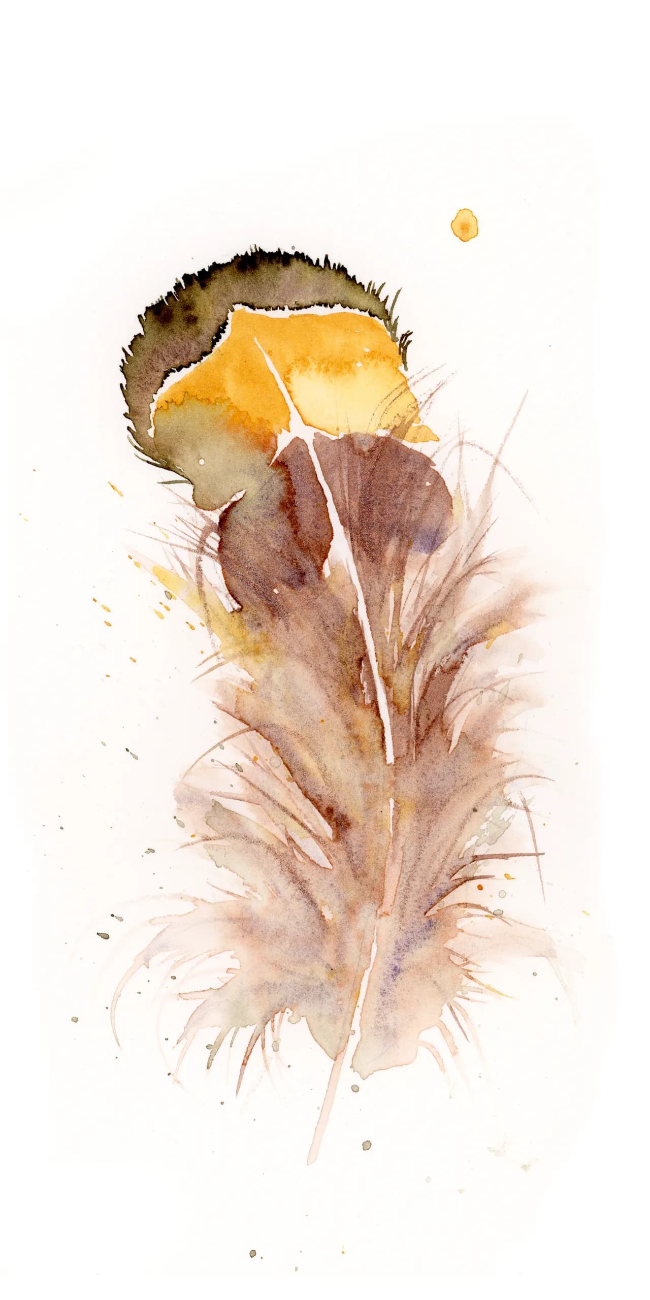 Goldfinch — watercolor by Shayna Larsen