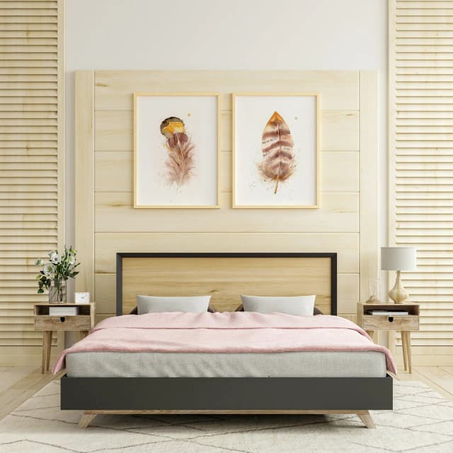 Goldfinch shown in a room setting