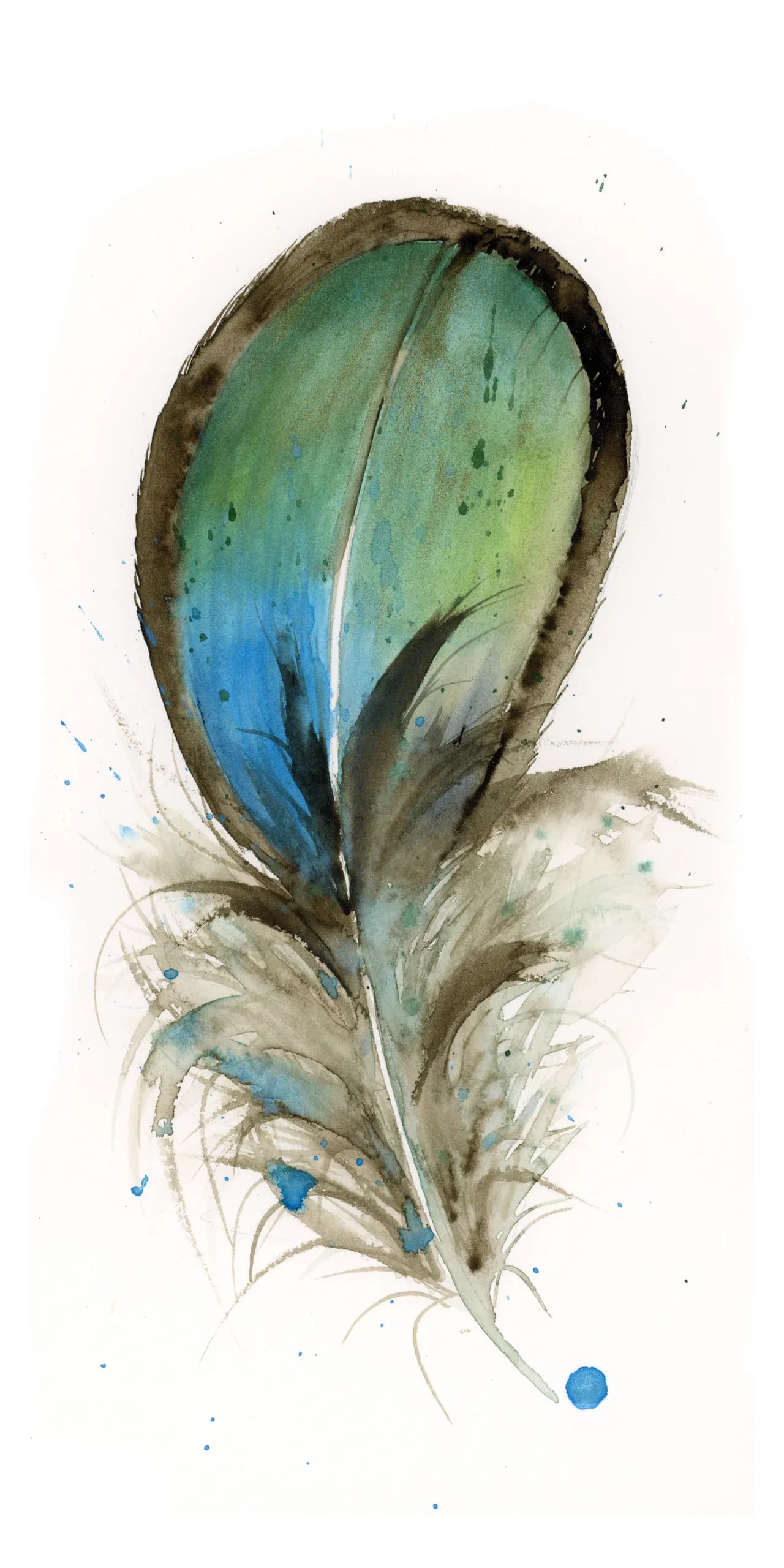 Lady Amherst Pheasant — watercolor by Shayna Larsen