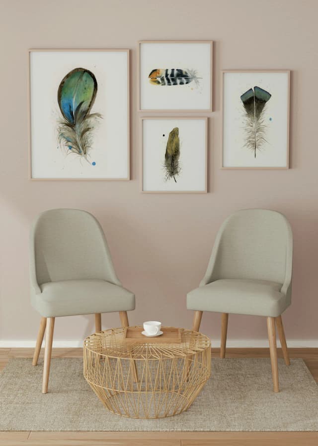 Lady Amherst Pheasant shown in a room setting