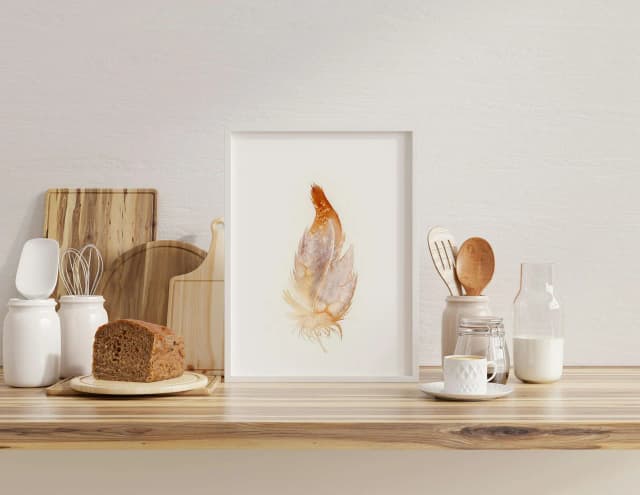 Barn Owl shown in a room setting