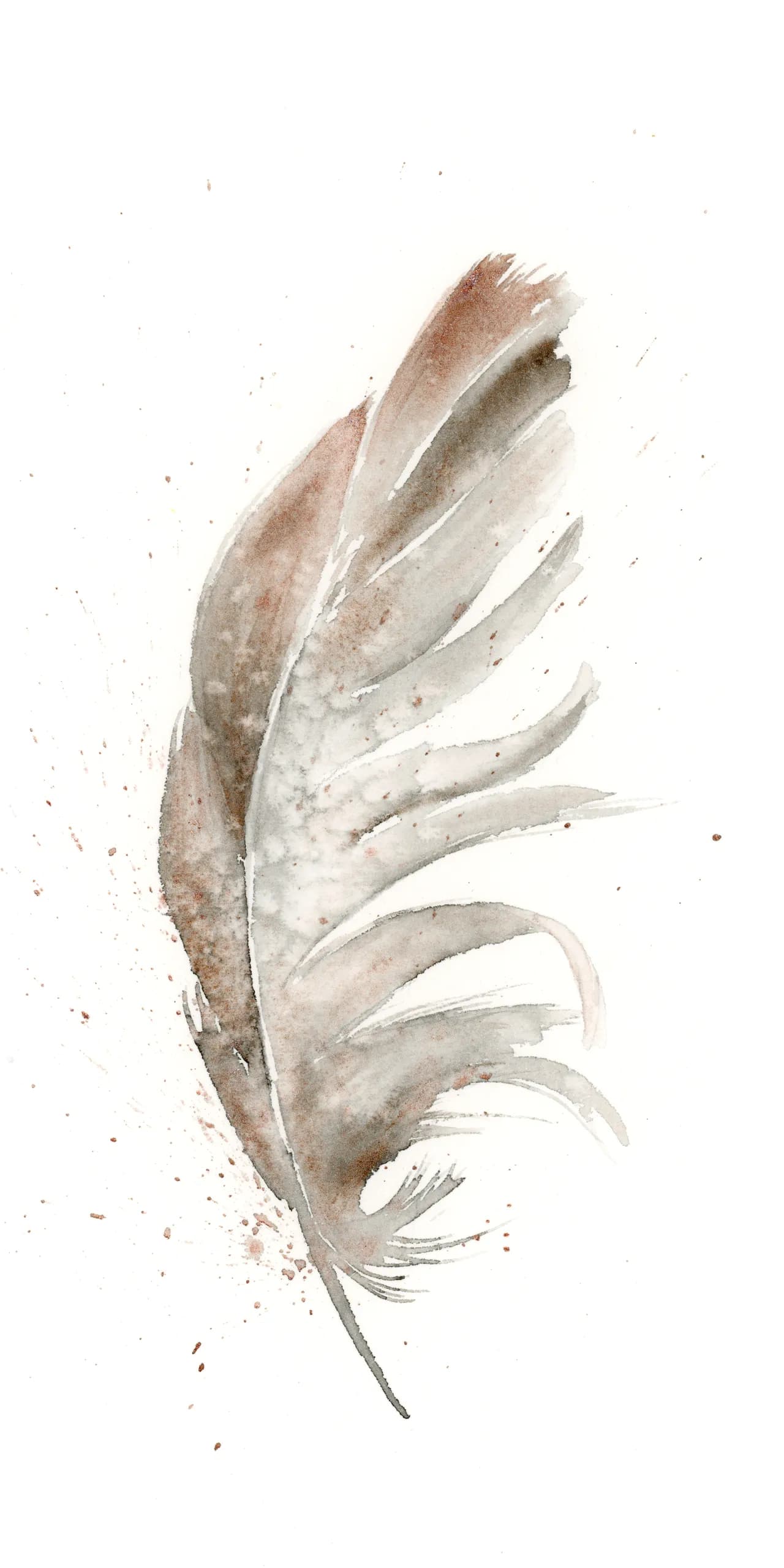 Red-tailed Hawk — watercolor by Shayna Larsen