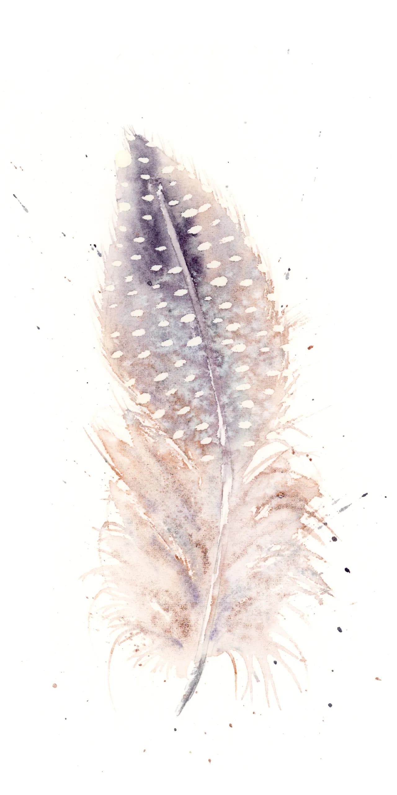 Guinea Fowl — watercolor by Shayna Larsen