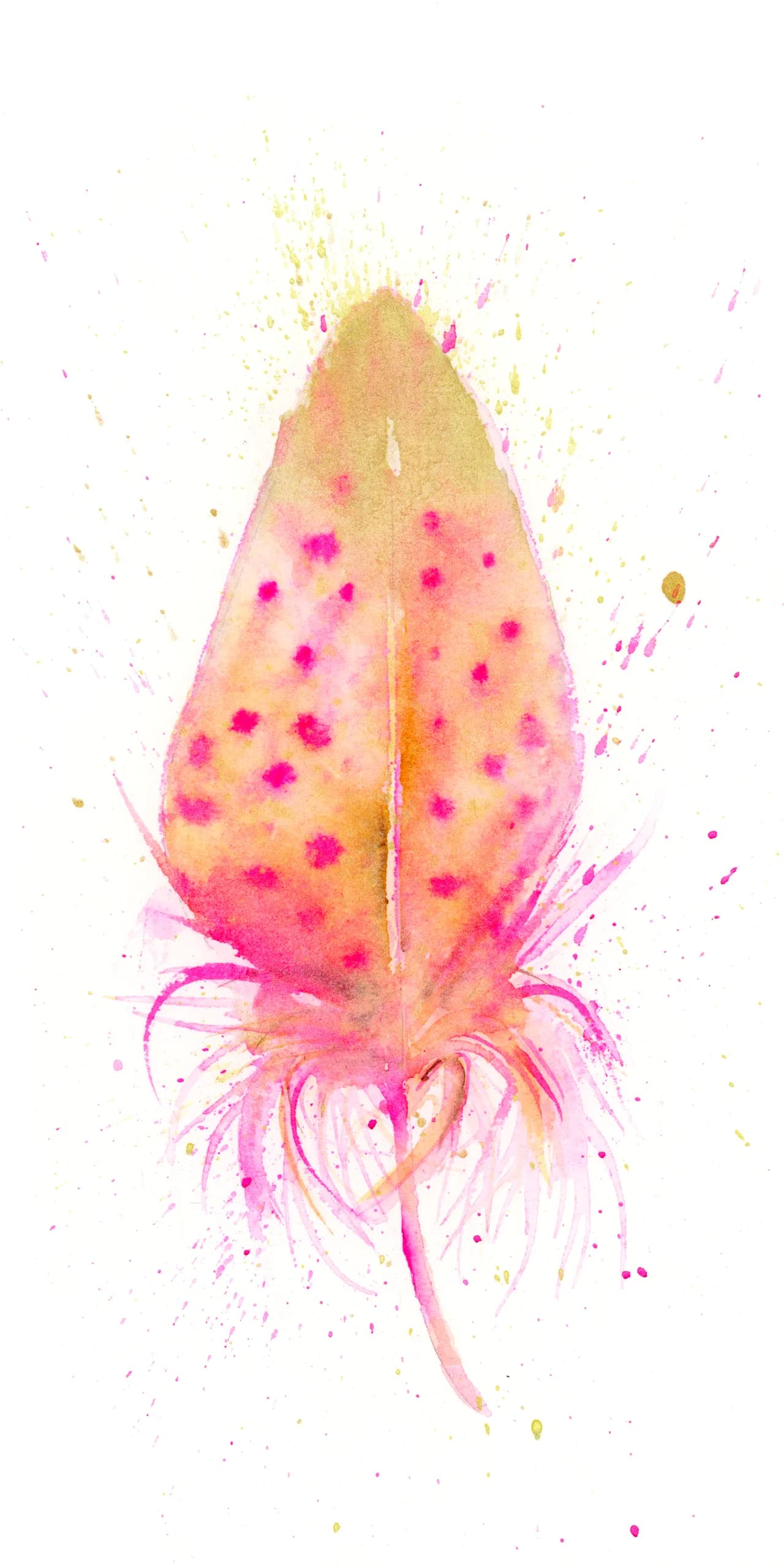 Roseate Spoonbill — watercolor by Shayna Larsen