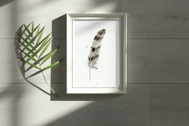 Hawk shown in a room setting