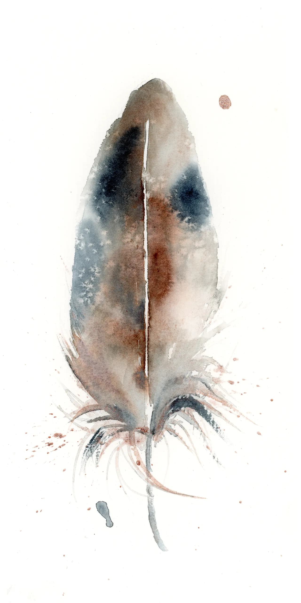 Cooper's Hawk — watercolor by Shayna Larsen
