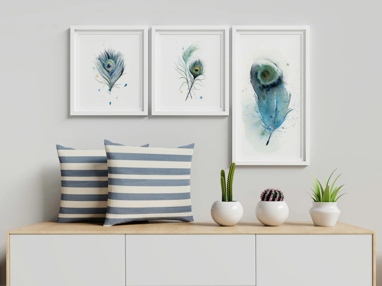 Indian Peafowl shown in a room setting