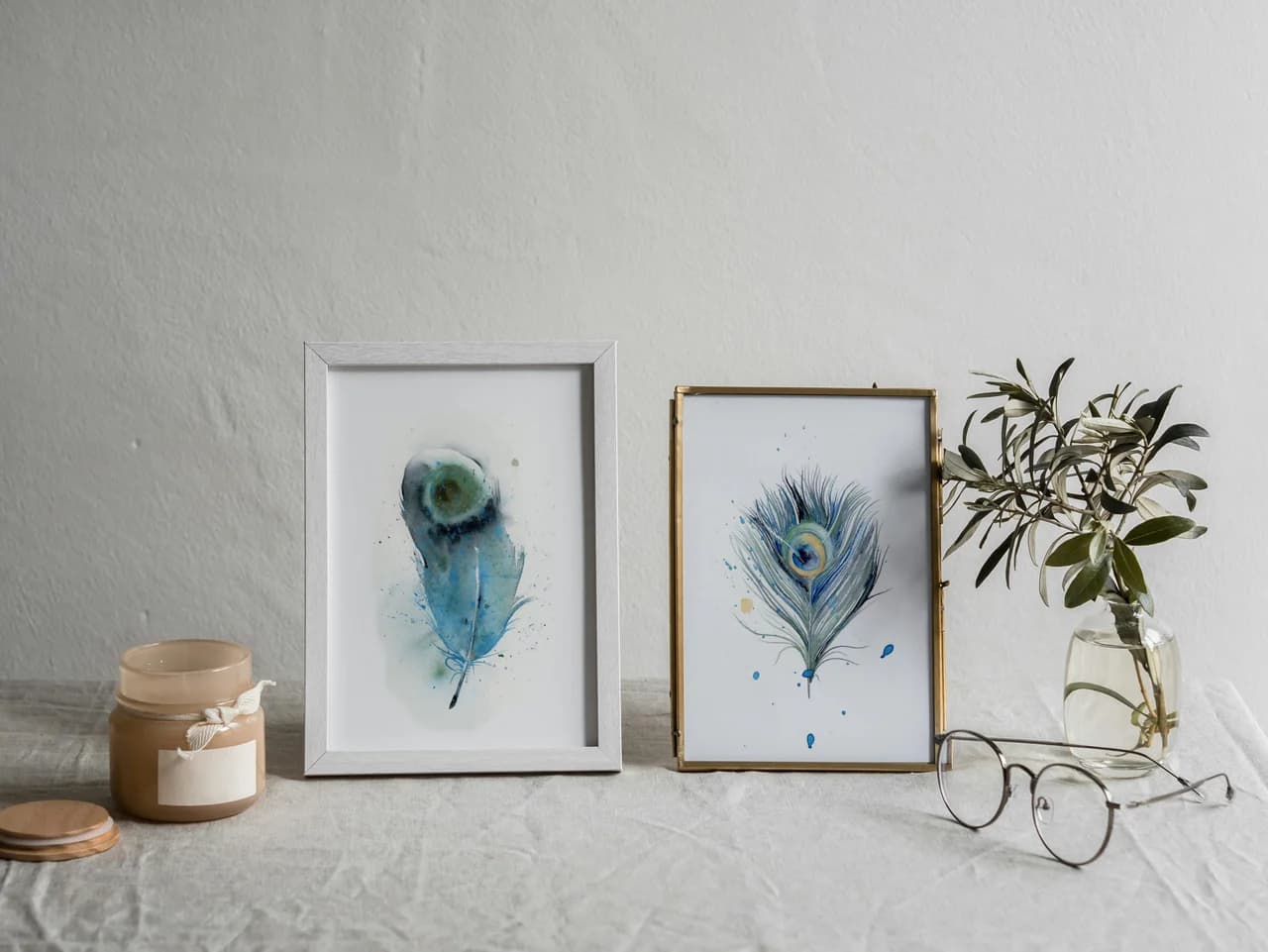 Indian Peafowl shown in a room setting