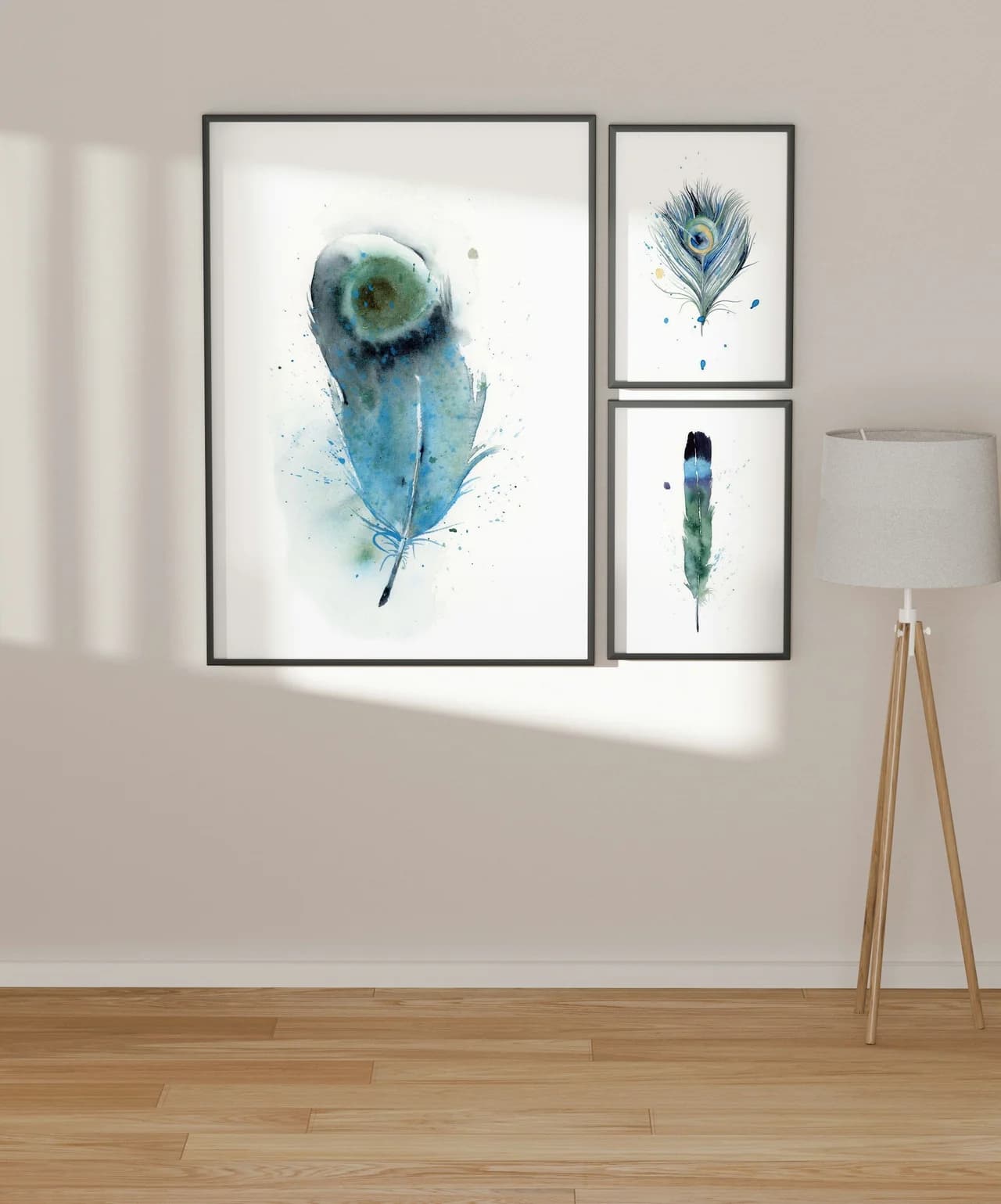 Indian Peafowl shown in a room setting