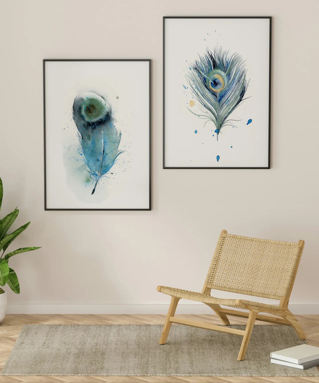Indian Peafowl shown in a room setting