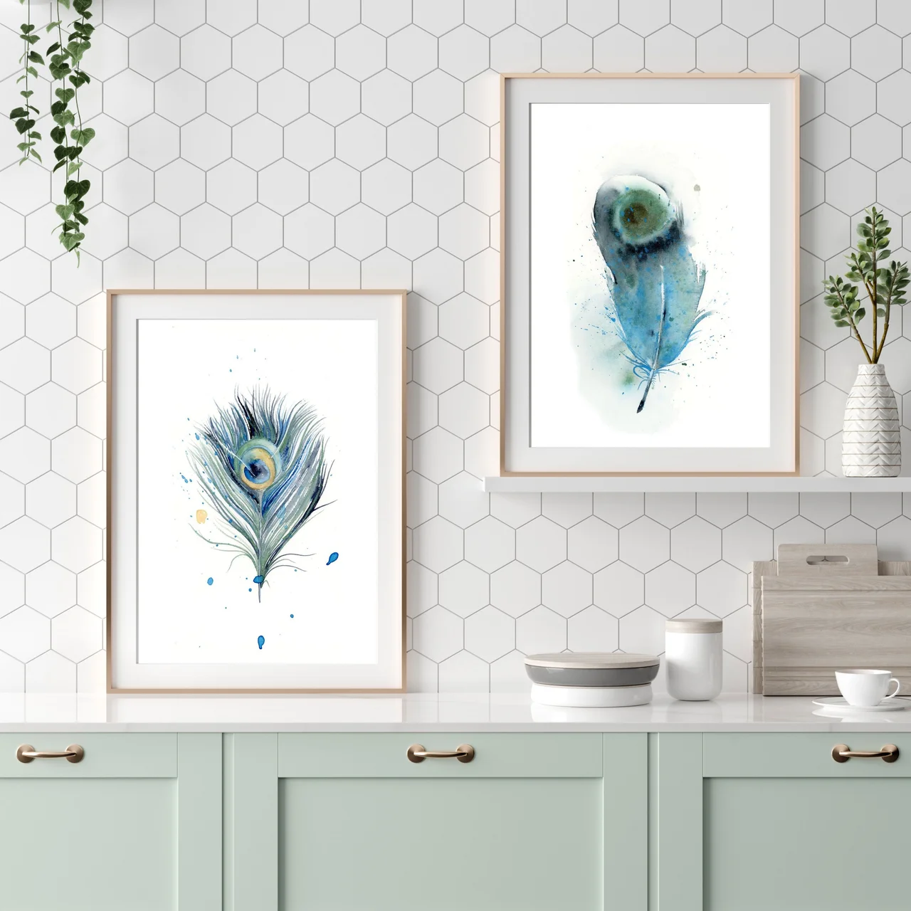 Indian Peafowl shown in a room setting