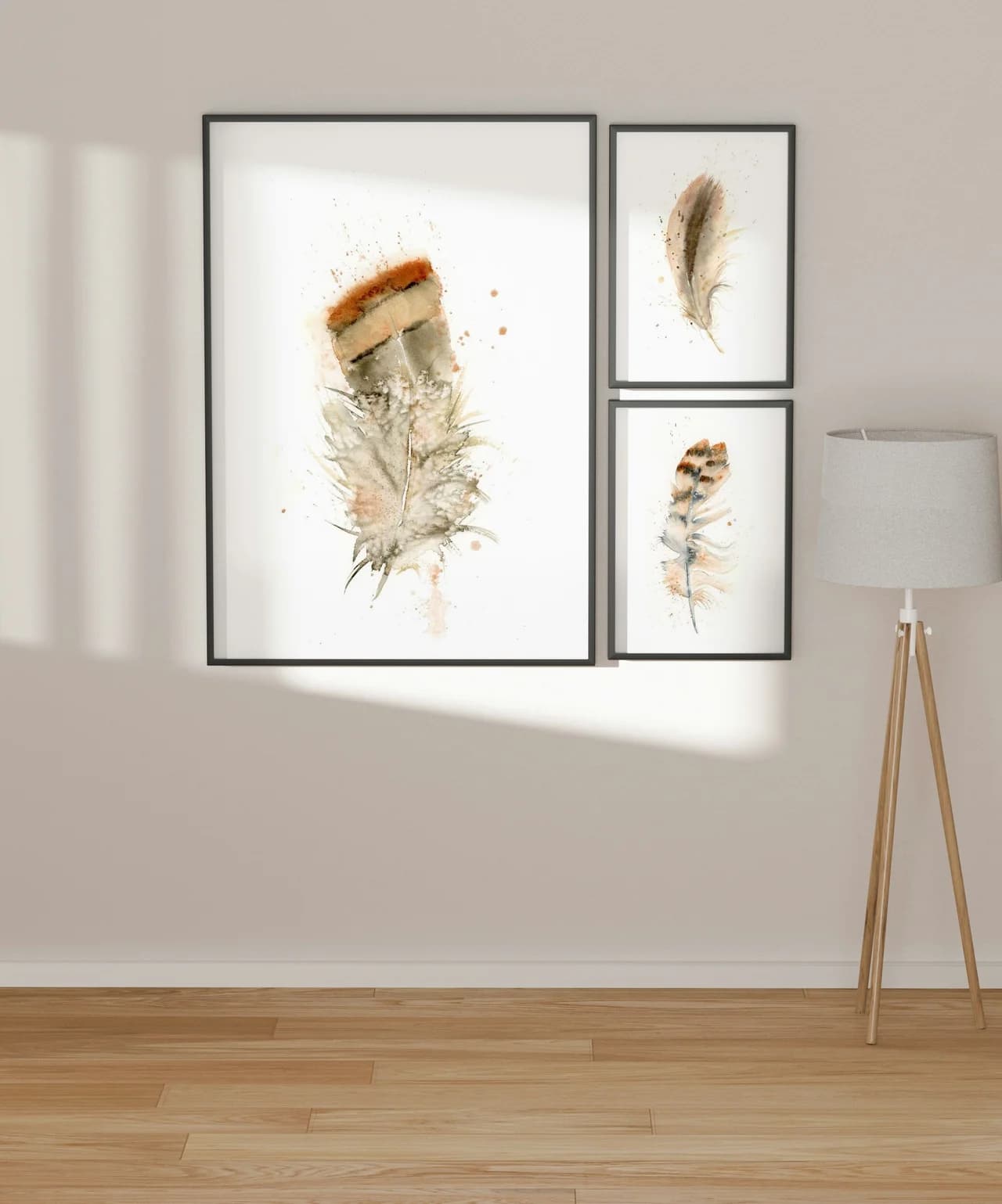 American Robin shown in a room setting
