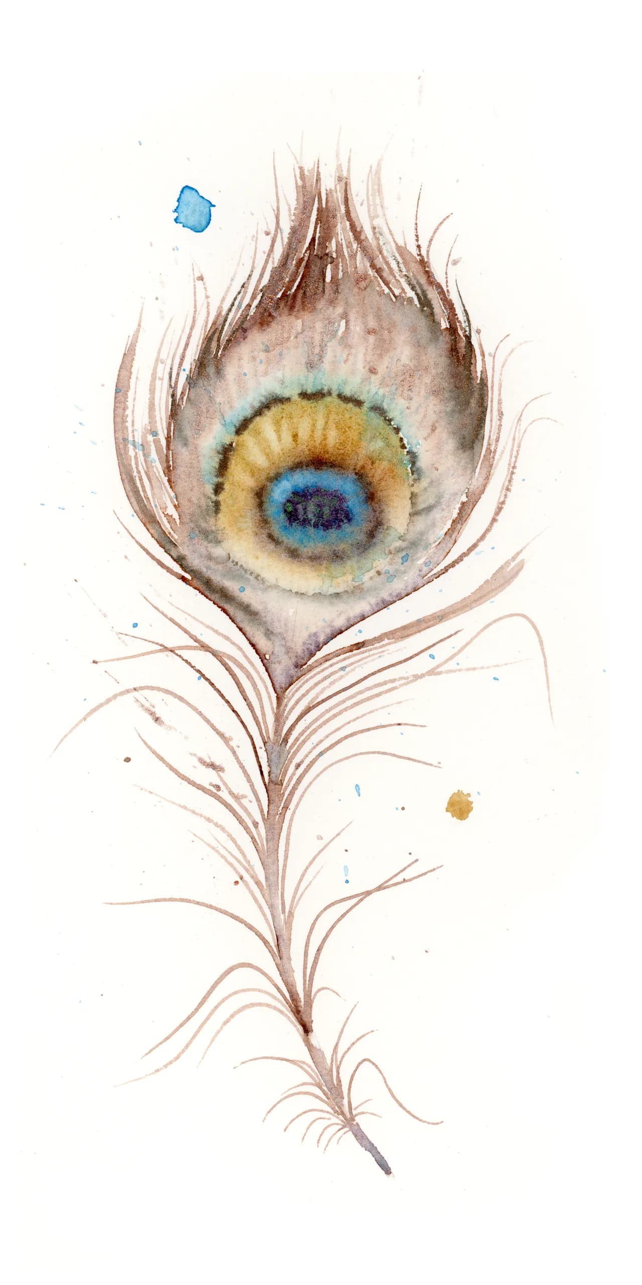 Peacock Inspired — watercolor by Shayna Larsen