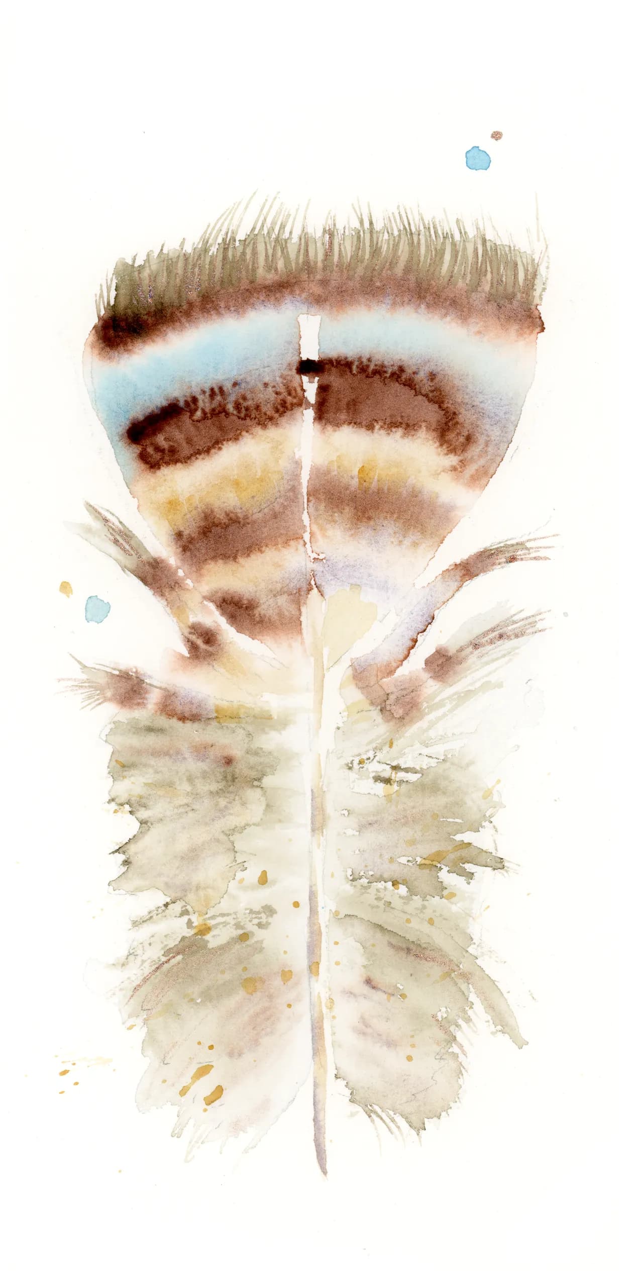 Great Horned Owl — watercolor by Shayna Larsen