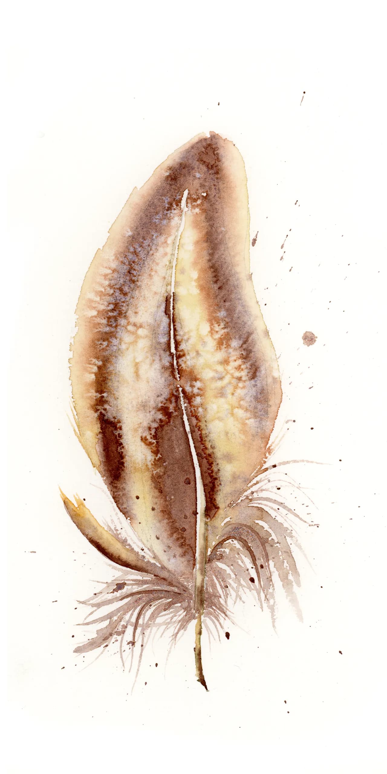 Spoonbill — watercolor by Shayna Larsen