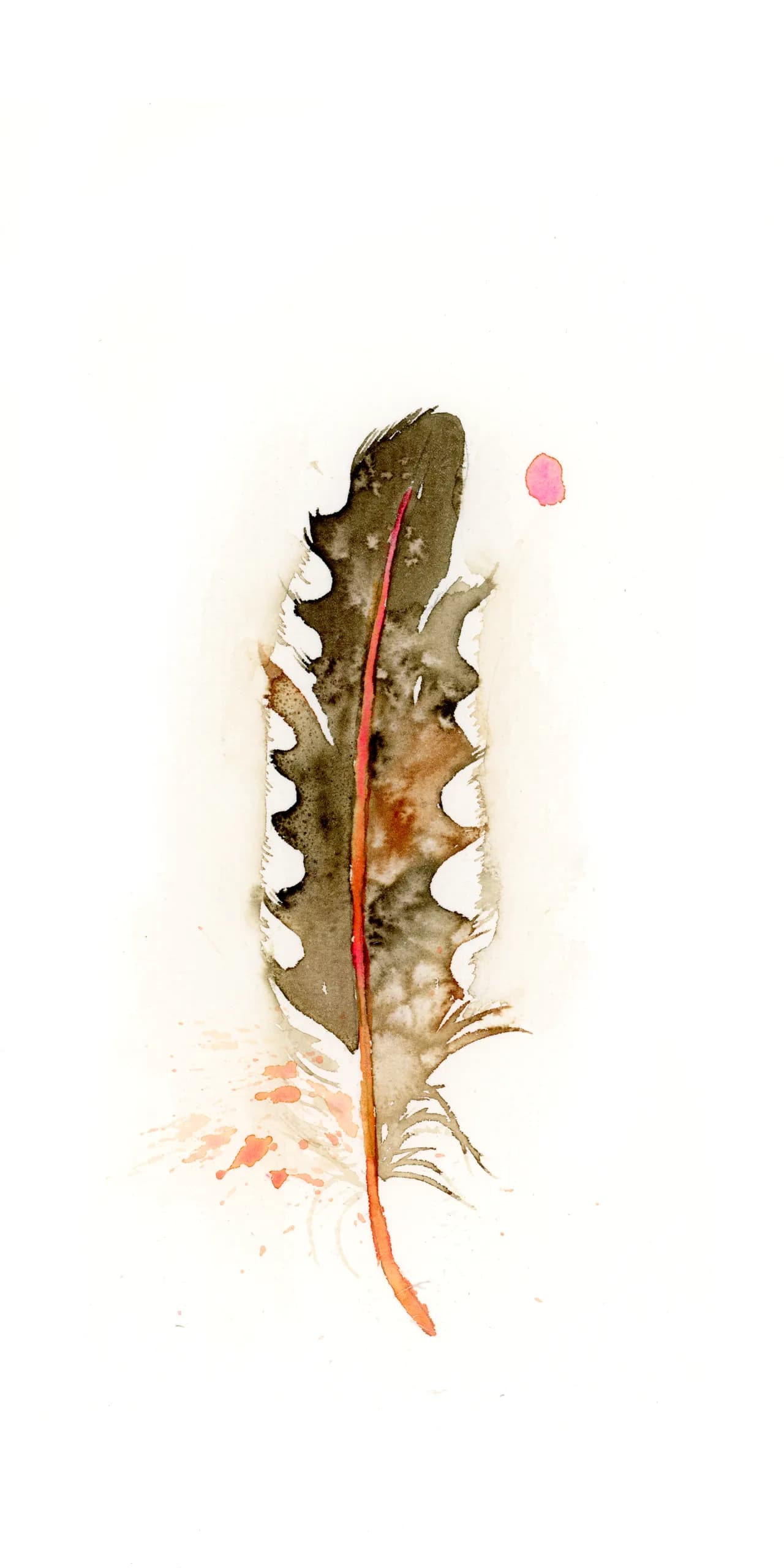 Northern Flicker — watercolor by Shayna Larsen