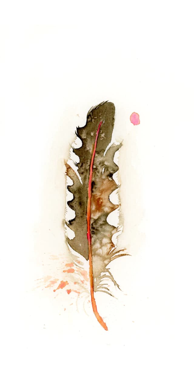 Northern Flicker — watercolor by Shayna Larsen