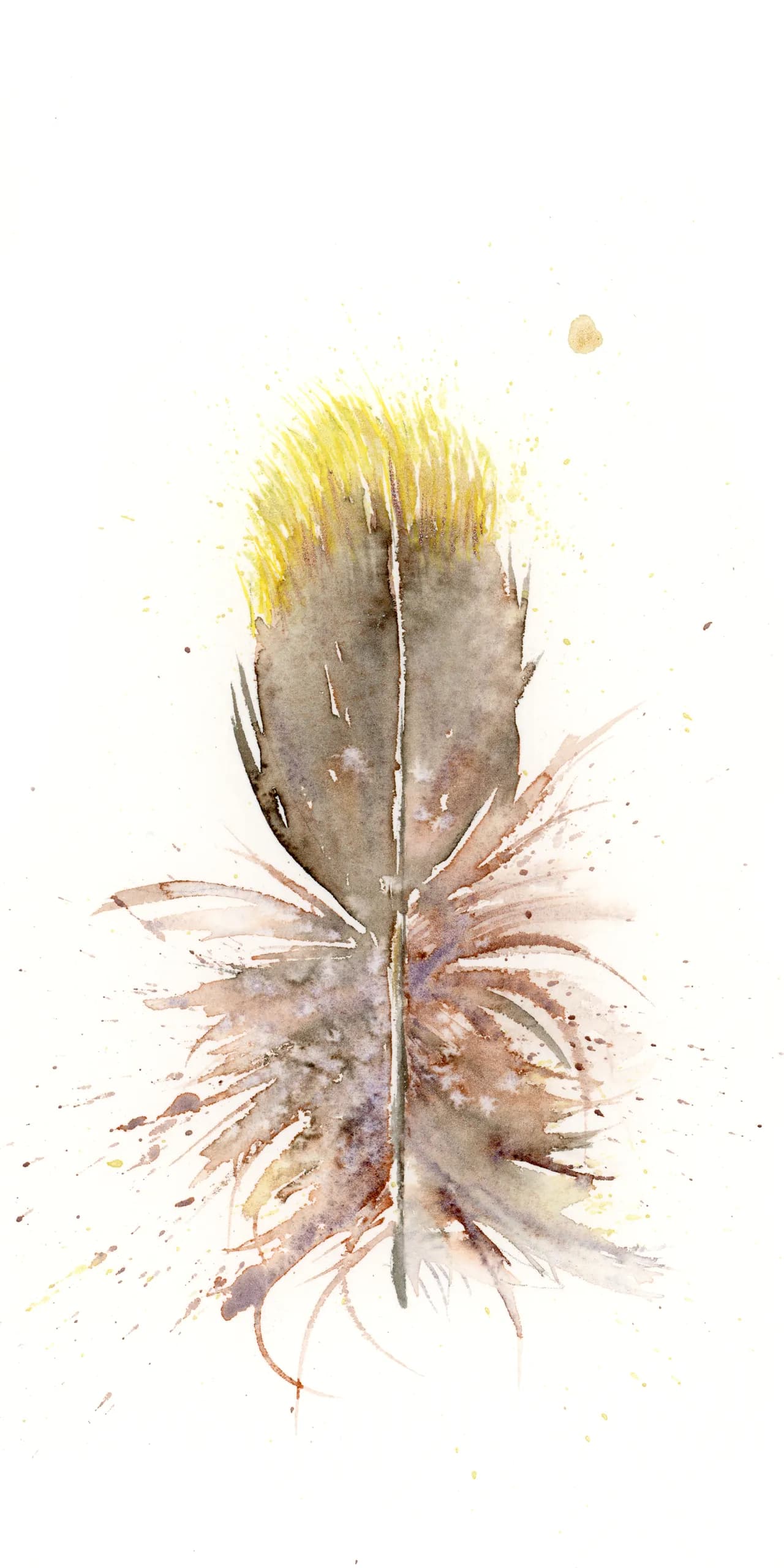 Hummingbird — watercolor by Shayna Larsen