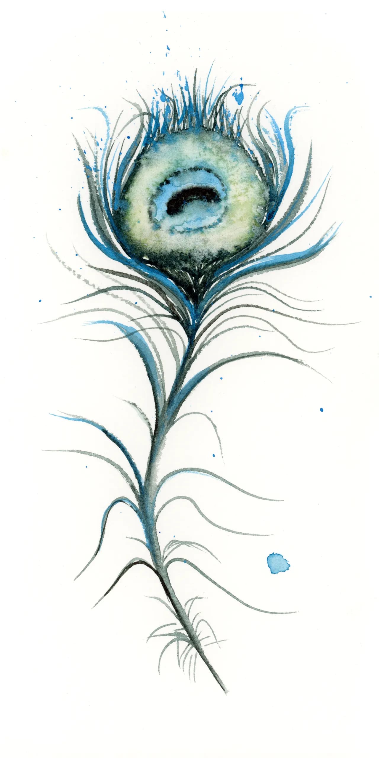 Peacock — watercolor by Shayna Larsen