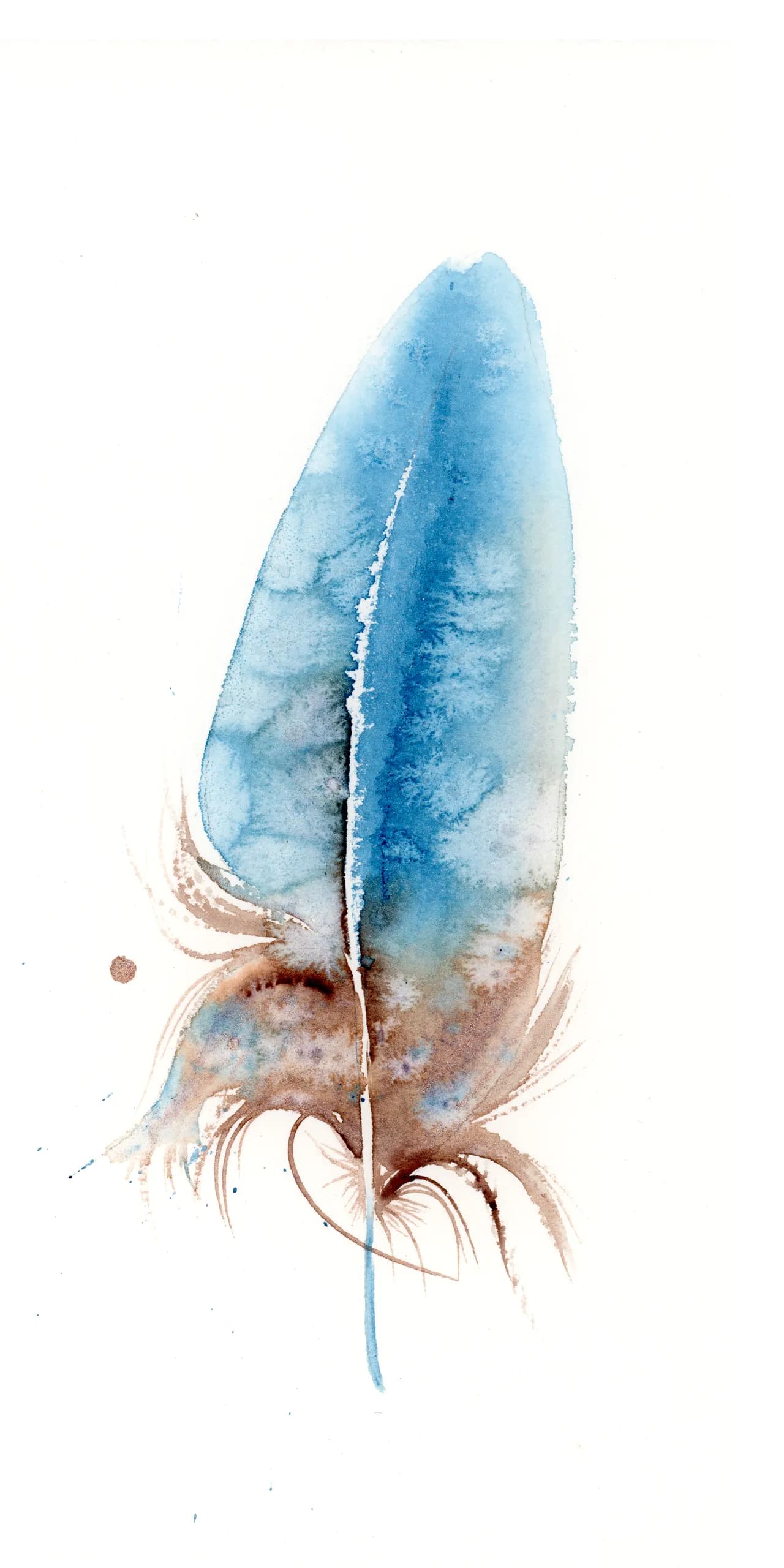 Blue Jay — watercolor by Shayna Larsen
