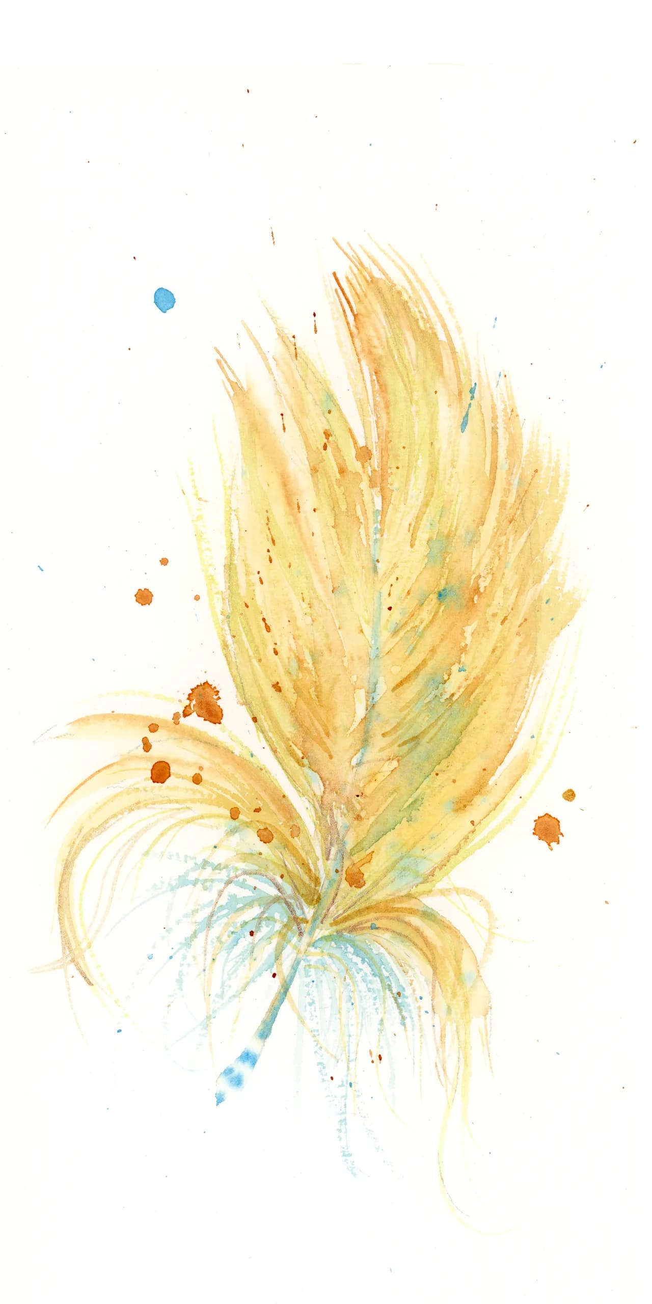 American Goldfinch — watercolor by Shayna Larsen