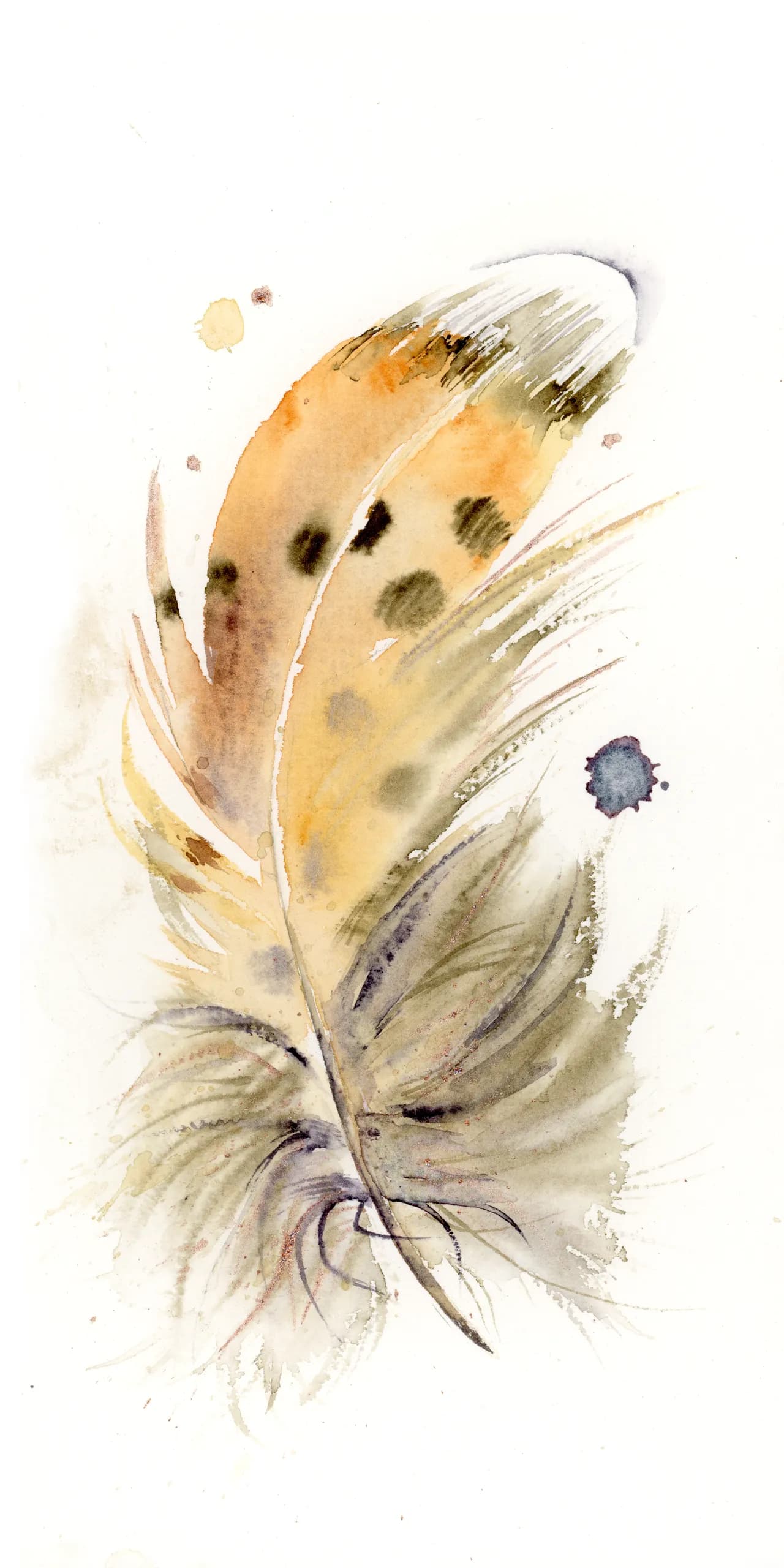 Great Horned Owl — watercolor by Shayna Larsen
