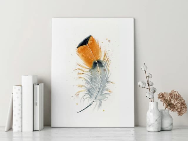 Royal Flycatcher shown in a room setting