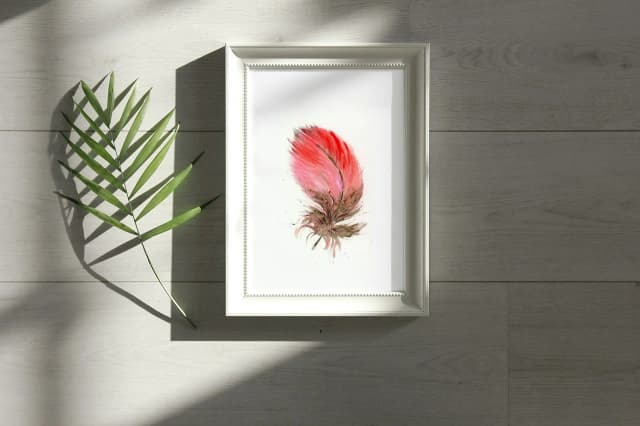 Scarlet Macaw shown in a room setting