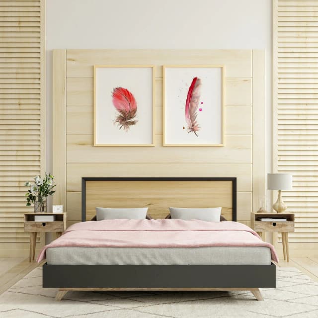 Scarlet Macaw shown in a room setting