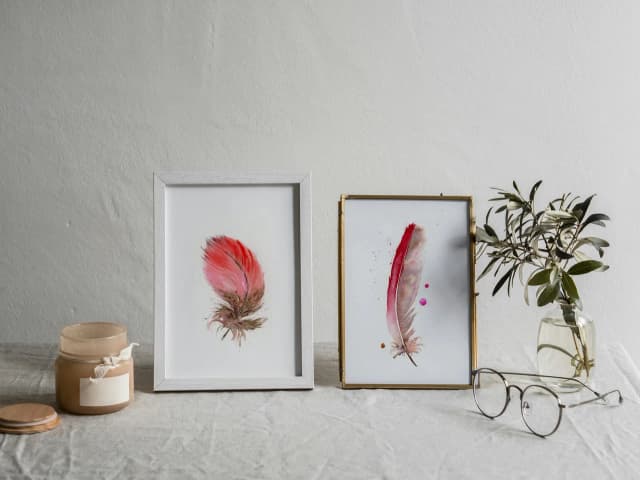 Scarlet Macaw shown in a room setting