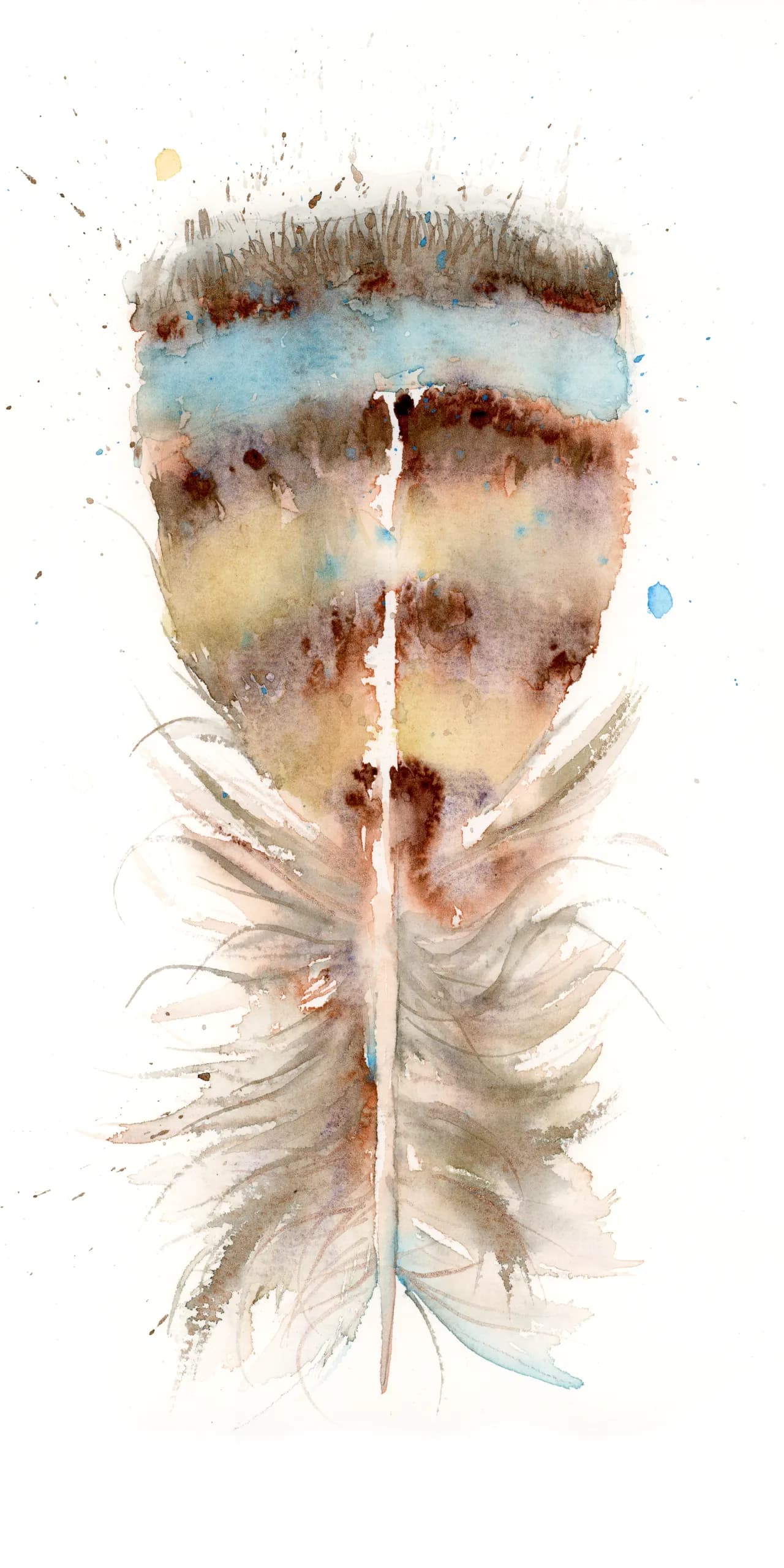 American Kestrel — watercolor by Shayna Larsen