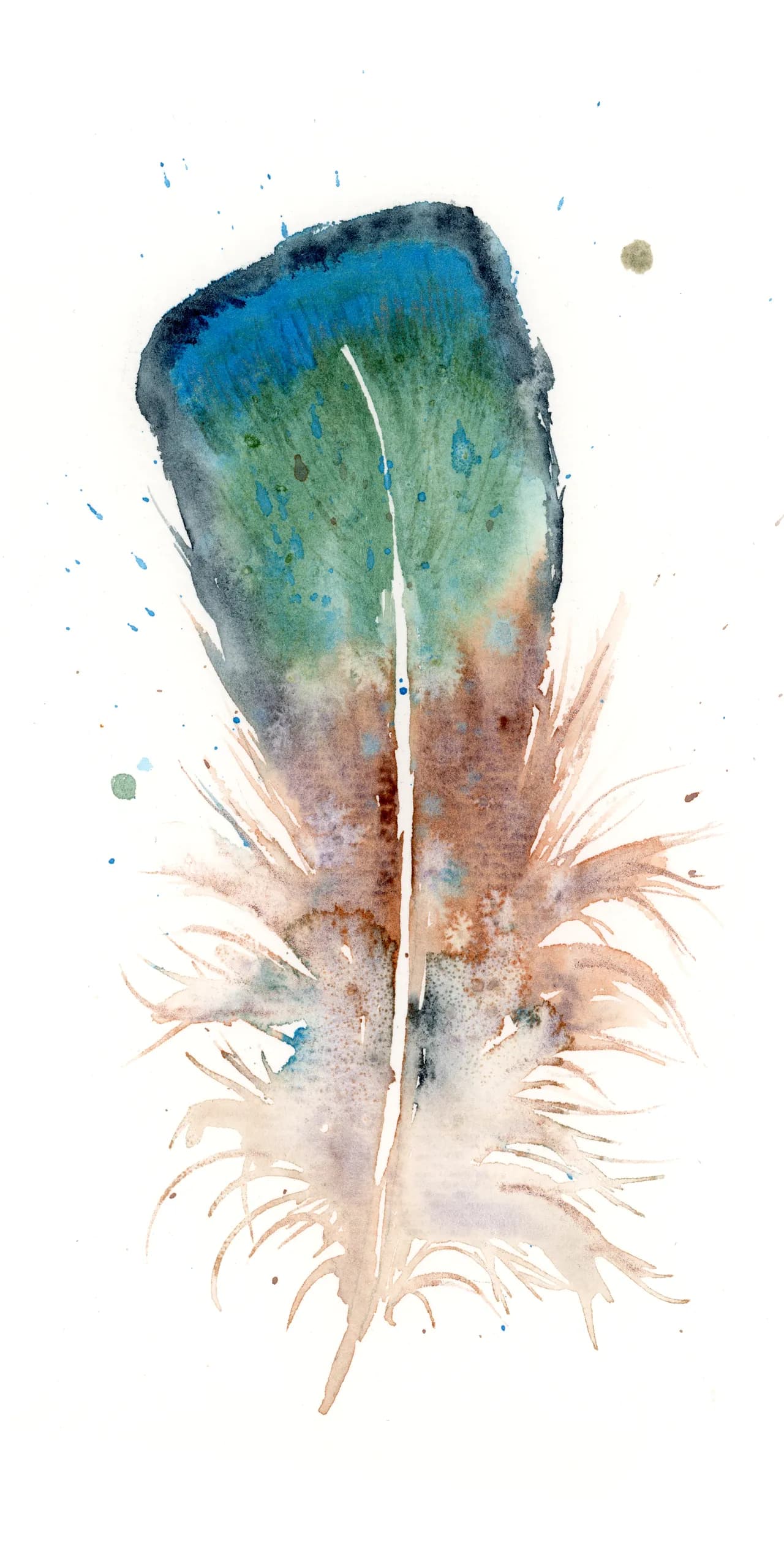 Duck — watercolor by Shayna Larsen