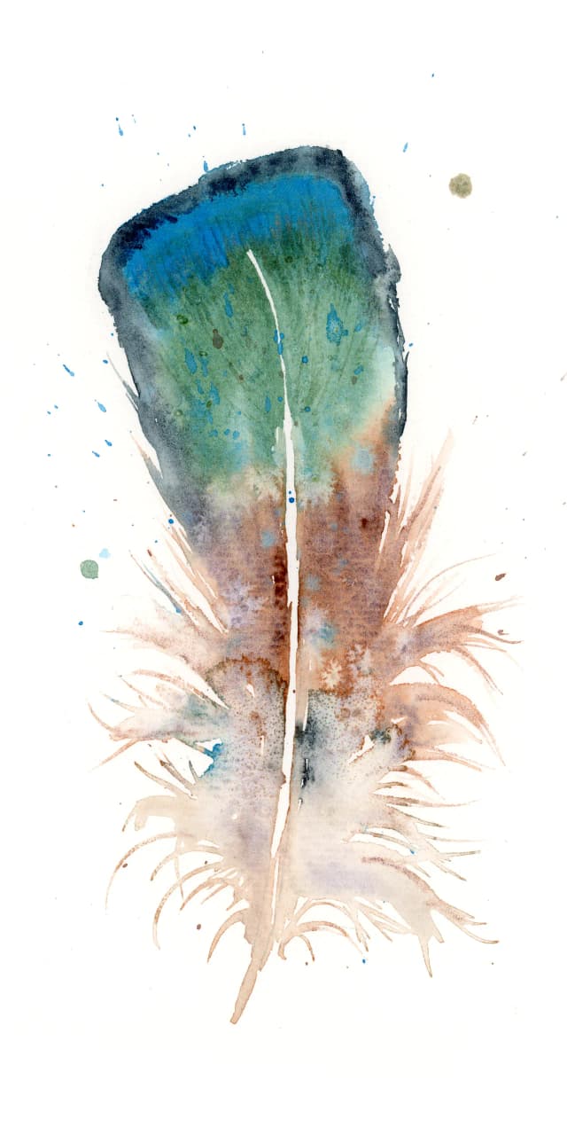 Duck — watercolor by Shayna Larsen