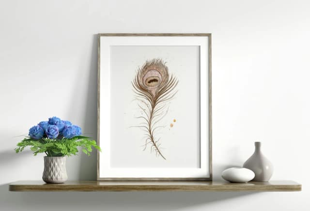 Peafowl shown in a room setting