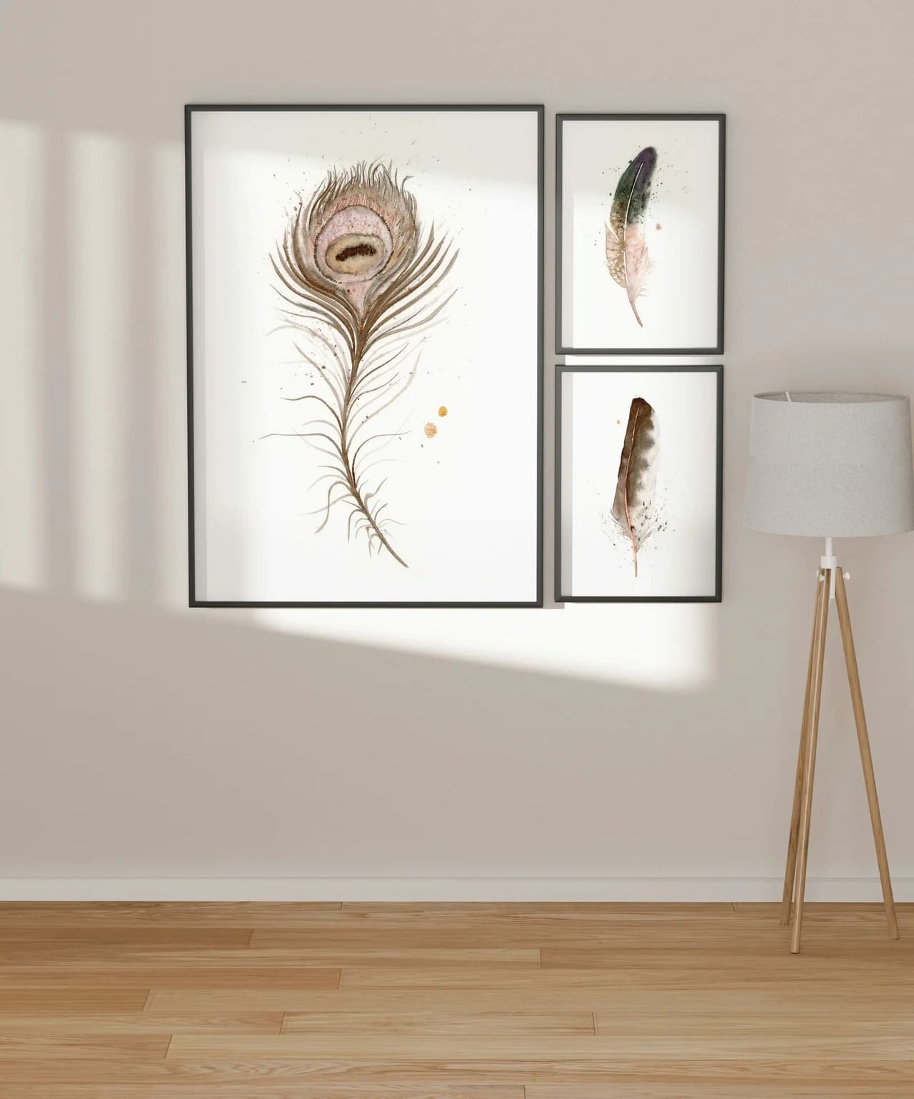 Peafowl shown in a room setting