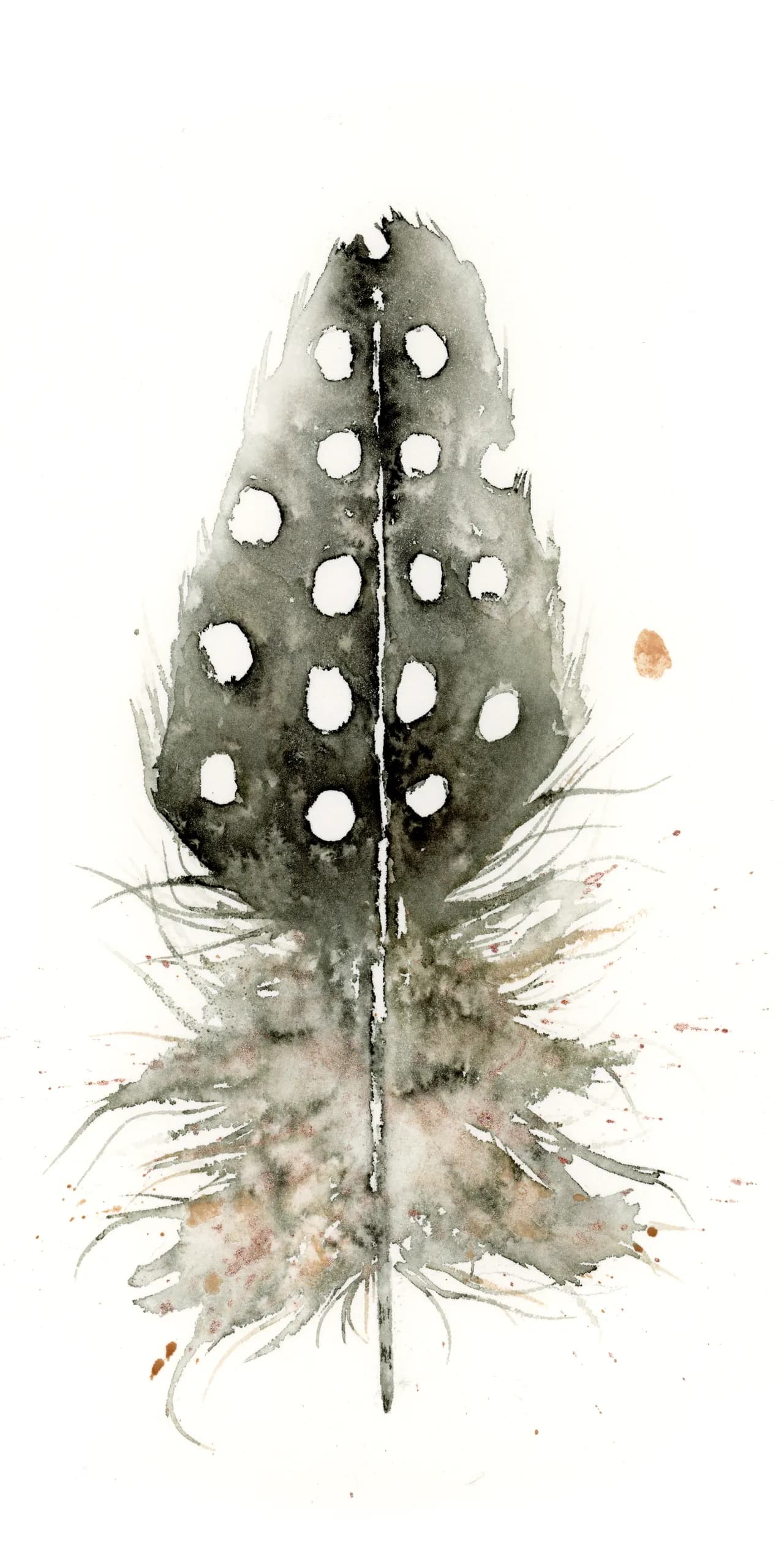 Guinea Fowl — watercolor by Shayna Larsen