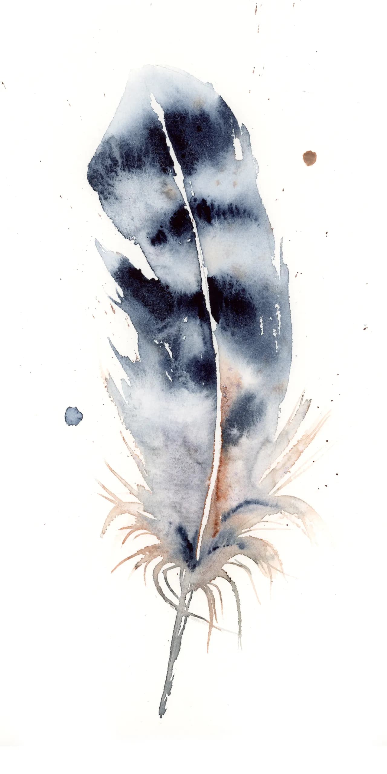 Blue Jay — watercolor by Shayna Larsen