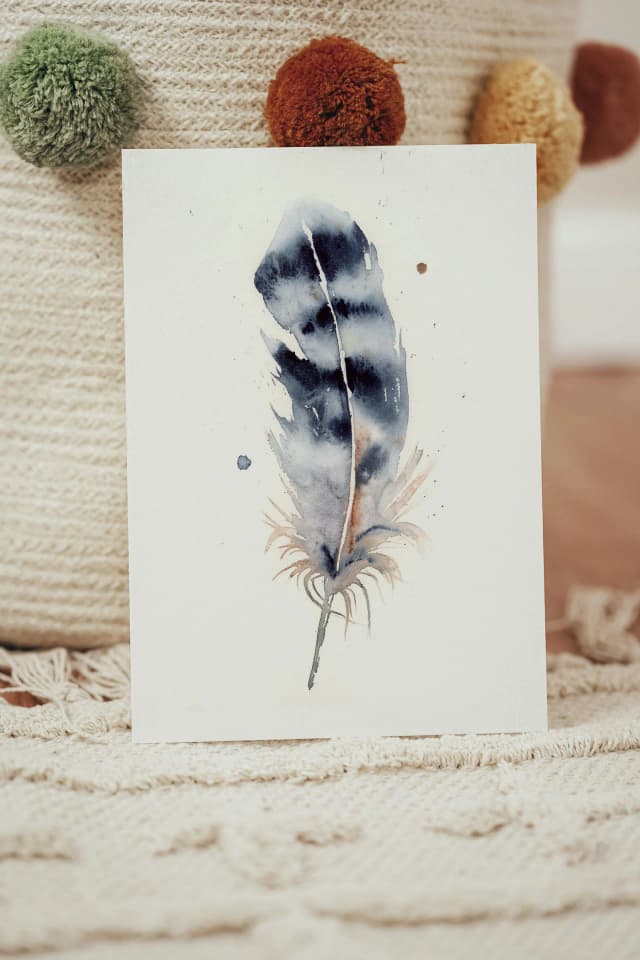 Blue Jay shown in a room setting